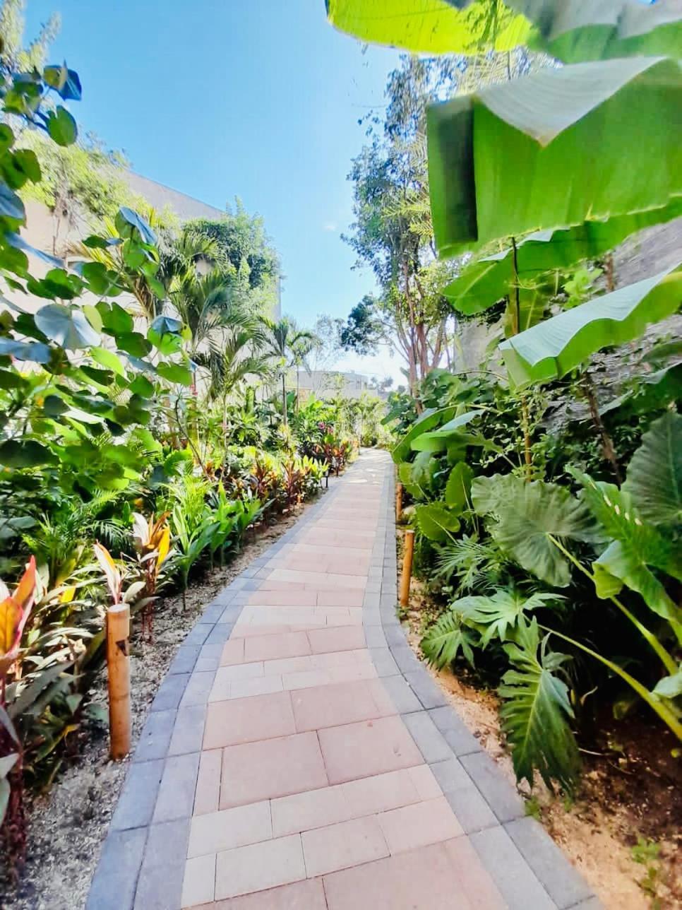 Appartement Adora Tulum Extérieur photo